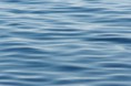 /album/fotogalerij/water-plaatje-casence-jpg/